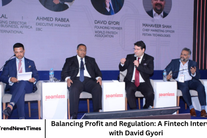Balancing Profit and Regulation: A Fintech Interview with David Gyori