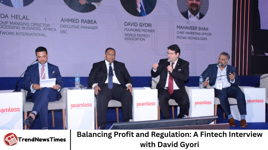 Balancing Profit and Regulation: A Fintech Interview with David Gyori